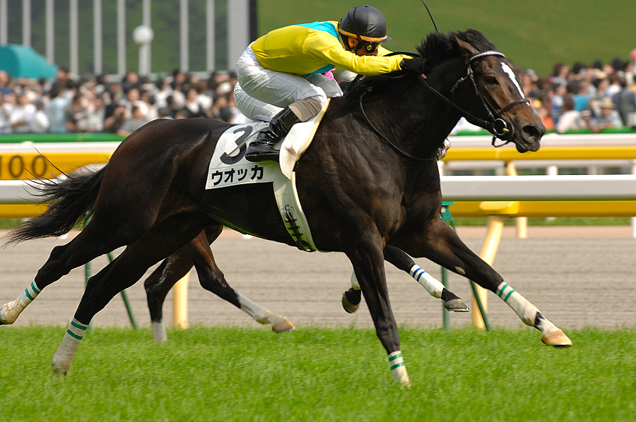 ドリーム競馬 ウォッカ長財布 競馬 ウォッカ \u201cVODKA\u201dロゴ入り財布