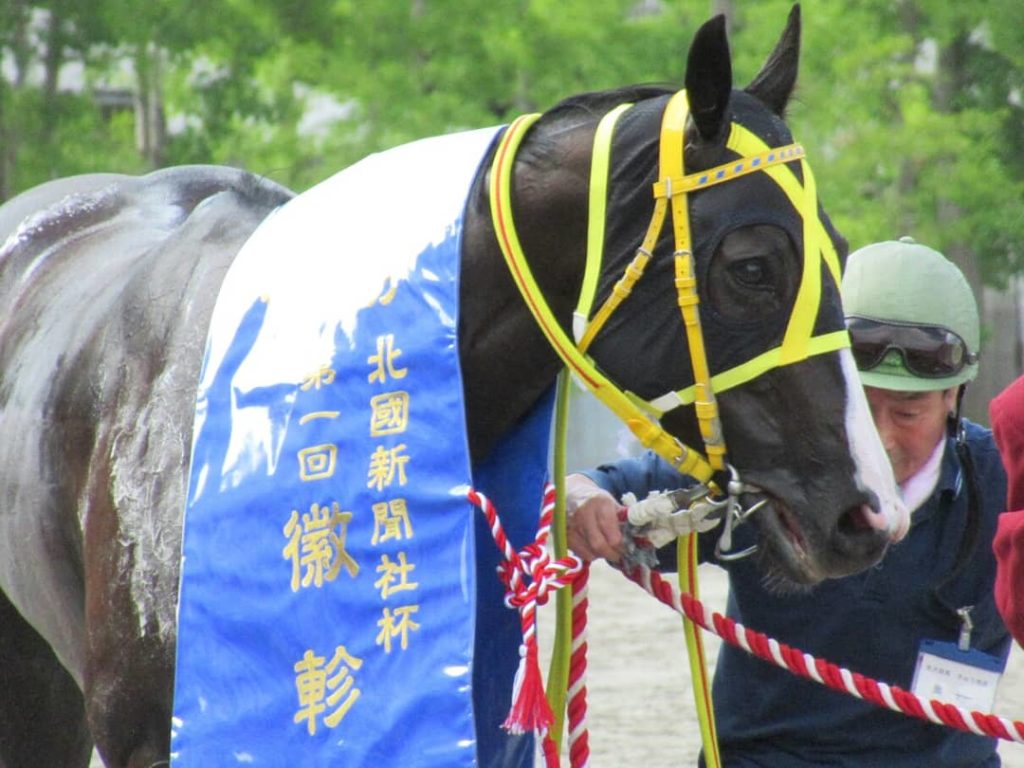 絆 つながる 2人の調教師が織り成す初代女王 第1回徽軫賞 競馬コラム ニュース ウマフリ