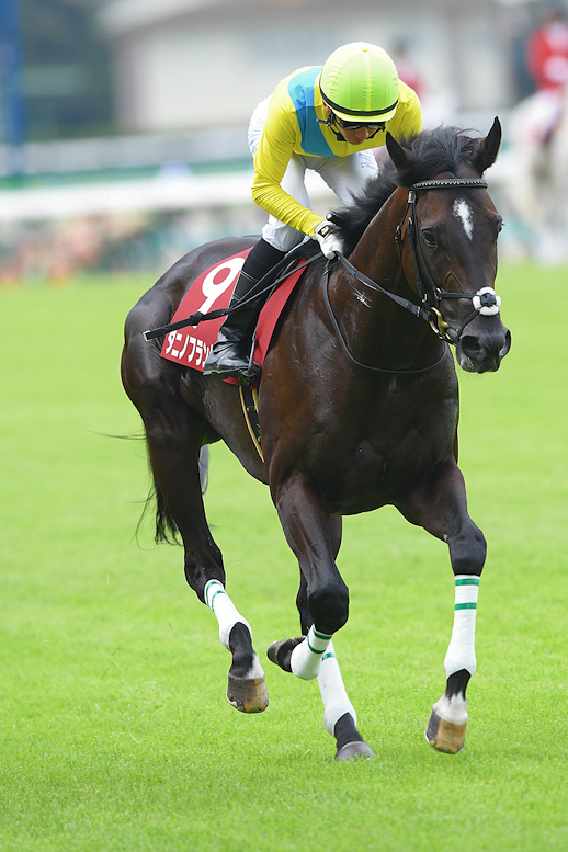 ドリーム競馬 ウォッカ長財布 競馬 ウォッカ \u201cVODKA\u201dロゴ入り財布