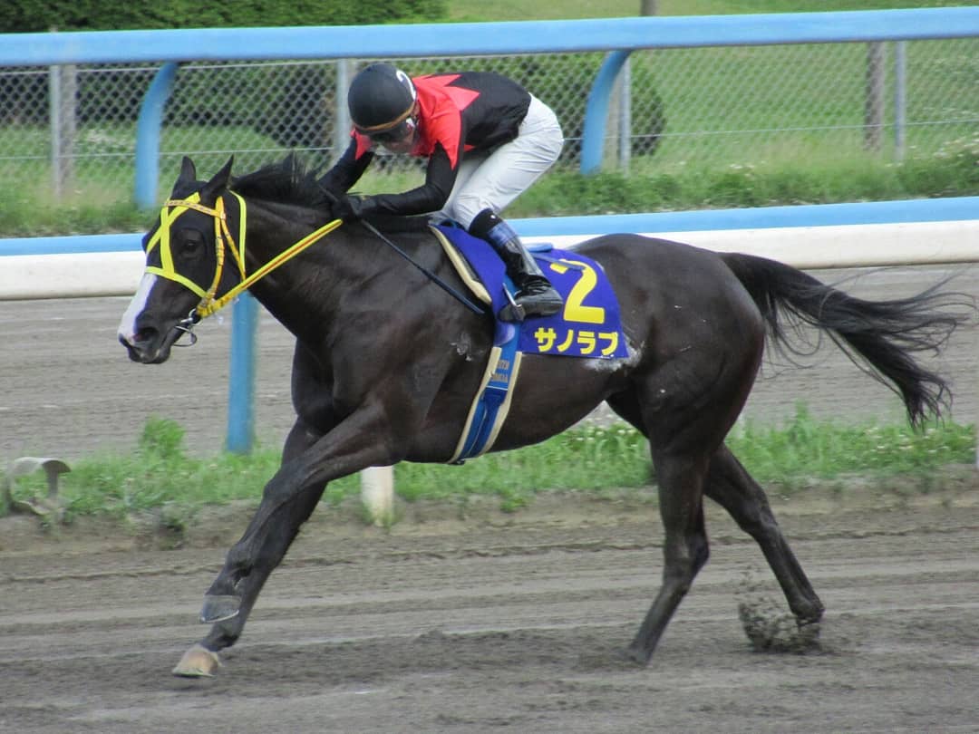 絆 つながる 2人の調教師が織り成す初代女王 第1回徽軫賞 競馬コラム ニュース ウマフリ