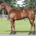 ［POG2020-2021］注目馬紹介～一口クラブ・キャロットファーム編～