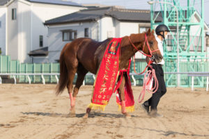 ［重賞回顧］ダート短距離界の覇権を目指して～第24回さきたま杯～