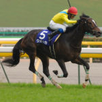 競馬　ウォッカ　フォト　報知 競走馬ウオッカの軌跡 [写真特集1/6] | 毎日新聞