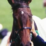 忘れられない、1999年オークスでの出来事〜私がウメノファイバーを応援した理由〜