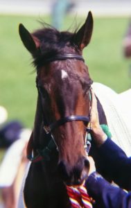 忘れられない、1999年オークスでの出来事〜私がウメノファイバーを応援した理由〜