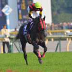 エイシンヒカリ〜ディープ産駒の『異能の馬』〜