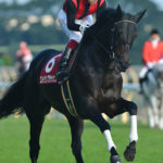 ［Rewind the race］閃光一閃～2010年・東京優駿～