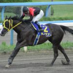 絆、つながる。2人の調教師が織り成す初代女王〜第1回徽軫賞〜