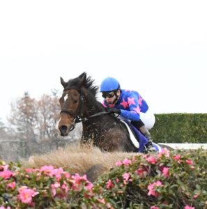 明日を夢見た彗星～シングンマイケル～