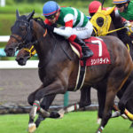 ［Rewind the race］神秘之石～2016年オークス～