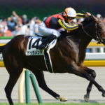 ドゥラメンテ〜ダイナカール一族のプリンスが抱える“力と心と強運”〜