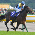 ダービーで負けた「未来の名馬」たち