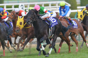 ［対談］第2のリアルインパクトを探せ！新種牡馬における『伏兵』たち──治郎丸敬之×緒方きしん