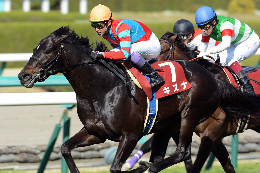 Pog 21 法則発見 キズナ産駒の分析結果と期待馬紹介 競馬コラム ニュース ウマフリ