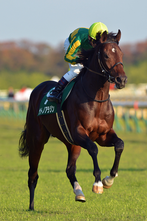 対談 どう見るべき ディープ後継種牡馬たちの捉え方 治郎丸敬之 緒方きしん 競馬コラム ニュース ウマフリ