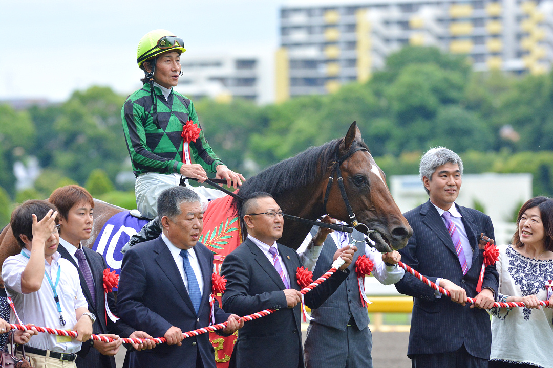 Rewind the race］王者爆発 ～2014年・安田記念～ | ウマフリ | 競馬 