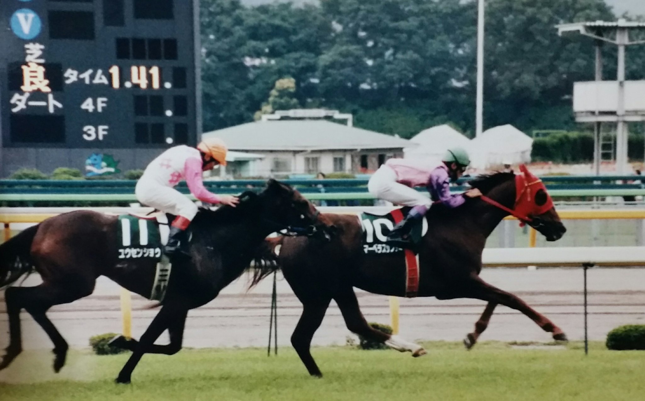 不屈の闘志で幾度も挫折を乗り越えた 遅れてきた天才 1996年 エプソムカップ 競馬コラム ニュース ウマフリ