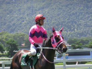 月明かりが照らす道～障害重賞6勝馬・オースミムーン～