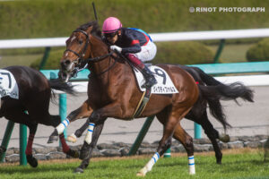 ［新馬戦振り返り］メイクデビュー勝ち馬紹介 2020/11/28,29
