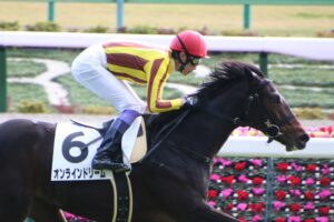 ［新馬戦振り返り］メイクデビュー勝ち馬紹介 2020/11/21,22,23