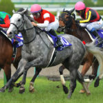 ［Rewind the race］人馬一体～2013年・宝塚記念～