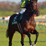 ［対談］どう見るべき？ディープ後継種牡馬たちの捉え方──治郎丸敬之×緒方きしん