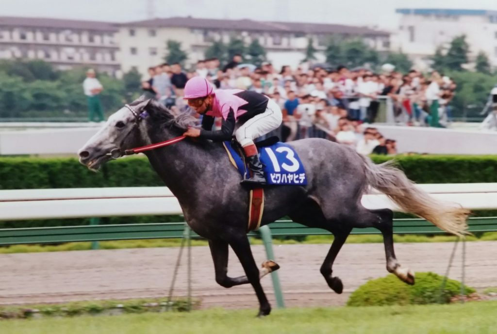 JRA 宝塚記念　ビワハヤヒデ ビワハヤヒデ｜3分でわかった気になる名馬 JRA
