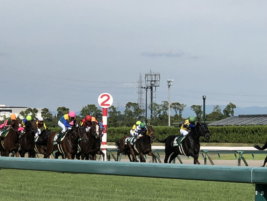 昨日・今日・明日～2018年中京記念・グレーターロンドン〜  競馬 