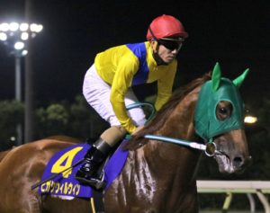 ヒガシウィルウィン〜勝利へ向かって〜