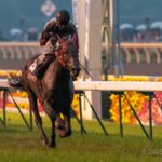 ミヤビランベリ〜究極の道悪巧者〜
