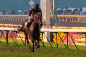 ミヤビランベリ〜究極の道悪巧者〜