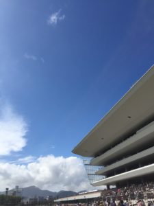 マチカネニホンバレ〜日本晴れの越後路にて戴冠す　2009年・エルムステークス～