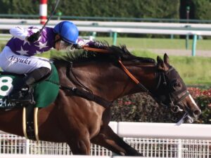 ［重賞回顧］秋風にきらめく星〜2021年・シリウスステークス〜