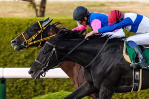 ［重賞回顧］古都の思いを胸に〜2021年・みやこステークス〜