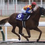 ［重賞回顧］砂のオールスター決戦の行方は〜2021年・チャンピオンズカップ〜