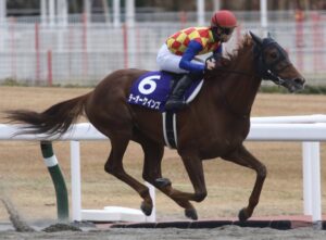 ［重賞回顧］砂のオールスター決戦の行方は〜2021年・チャンピオンズカップ〜