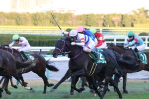 ［重賞回顧］仁川を超特急で駆け抜ける〜2021年・京阪杯〜