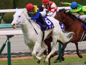 ［重賞回顧］白毛馬の夢か、関東の新星か〜2020年・阪神ジュベナイルフィリーズ〜