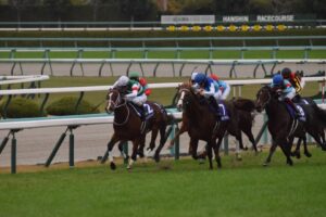 ［重賞回顧］短距離戦線制圧へ〜2020年・マイルチャンピオンシップ〜