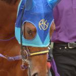 オーストラリア競馬の祭典！メルボルンカップとは？