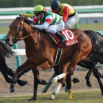 未完の大器シャイニングレイ～多くの困難を乗り越えた復活劇～