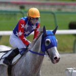 引退馬に新たな道を！競走馬再デビューへの支援〜『馬と歴史と未来の会』の取り組みとは〜