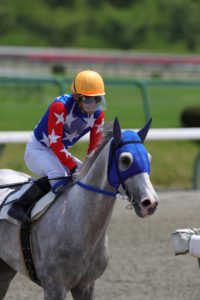 引退馬に新たな道を！競走馬再デビューへの支援〜『馬と歴史と未来の会』の取り組みとは〜