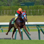 ［Rewind the race］直千逃走～2013年・アイビスサマーダッシュ～