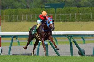 ［Rewind the race］直千逃走～2013年・アイビスサマーダッシュ～