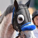 ［Rewind the race］切味一閃～2016年・CBC賞～