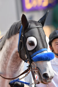 ［Rewind the race］切味一閃～2016年・CBC賞～