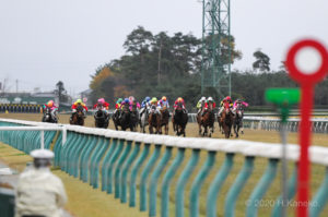 ［対談］『千直』は牝馬が強い！？　直線1000m競走の魅力を語る。──治郎丸敬之×緒方きしん