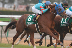 ヤマニンキングリー〜未来を変えた、札幌記念での激走〜