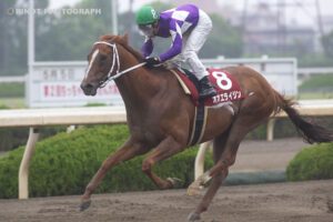 「園田の雷神」から「地方の雷神」へ〜オオエライジン・黒潮盃〜
